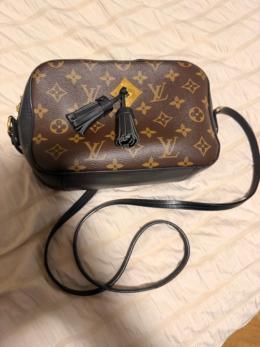 Authentic Louis Vuitton Monogram
Canvas Saintonge Shoulder Bag - Picture 11 of 12